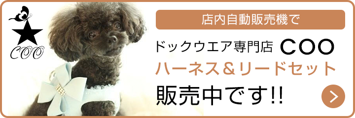 ドッグウエア専門店COOハーネス＆リードセット販売中です！